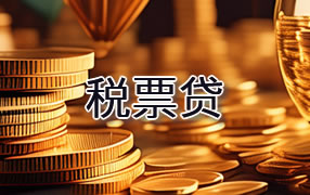 鄂州税票贷